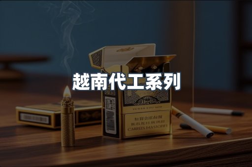 越南代工系列